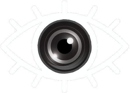 Toggle Camera Modal Eye
